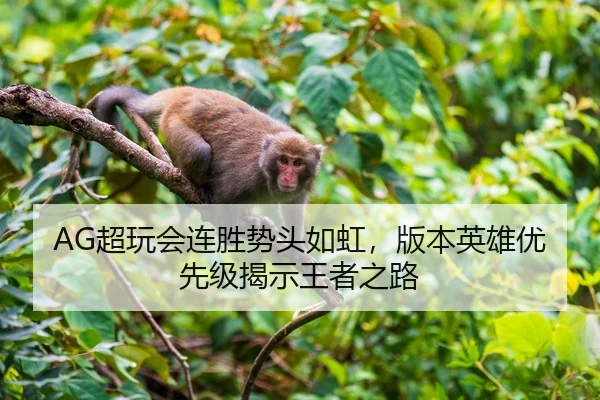 AG超玩会连胜势头如虹，版本英雄优先级揭示王者之路