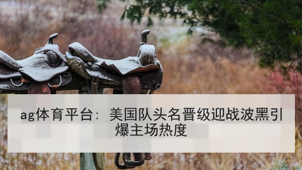 ag体育平台: 美国队头名晋级迎战波黑引爆主场热度