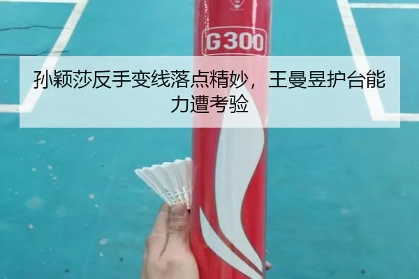 sun-ying-sha-fan-shou-bian-xian-luo-dian-jing-miao-wang-man-yu-hu-tai-neng-li-zao-kao-yan-3-101.jpg