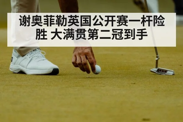 谢奥菲勒英国公开赛一杆险胜 大满贯第二冠到手
